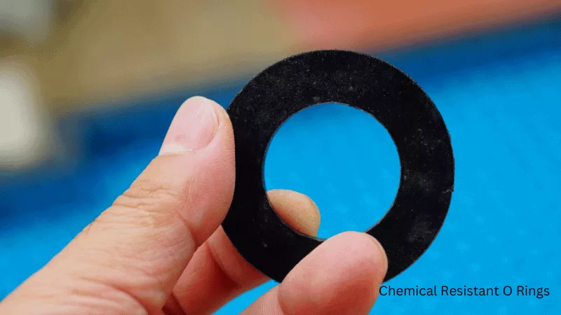 chemical resistant o rings