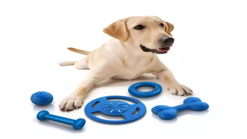 silicone toys for pets