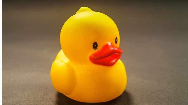 rubber toy