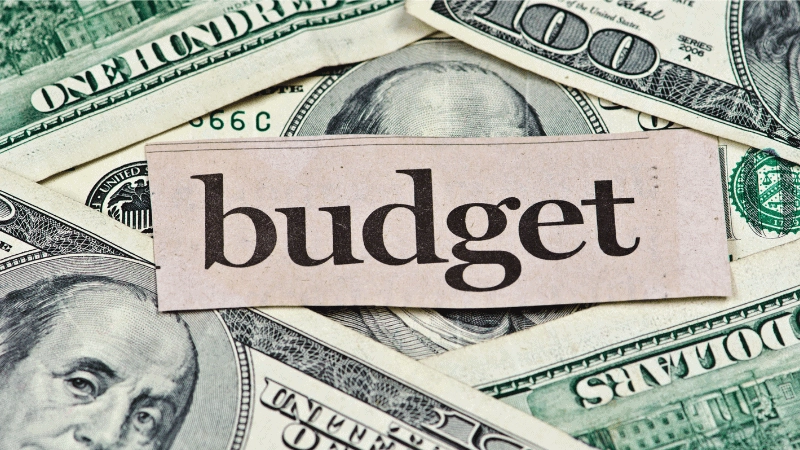 Budget für leitfähige Silikonstreifen 