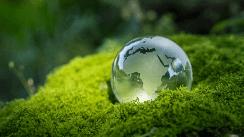 Sustainable tires can Improve Fuel Efficiency