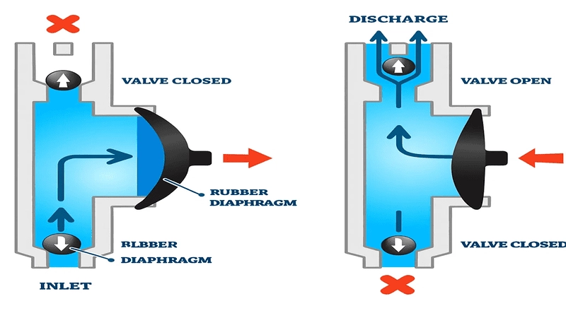 rubber diaphragm