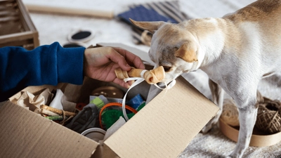 Haustierprodukte aus Silikonkautschuk