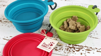 Zusammenklappbare Schalen