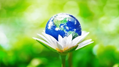 Environmental and Safety Regulations