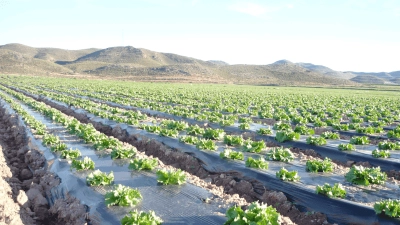 افلام زراعية