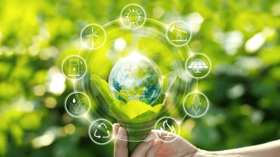 Umweltverträglichkeit