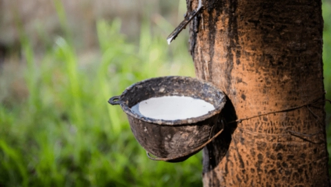 natural rubber