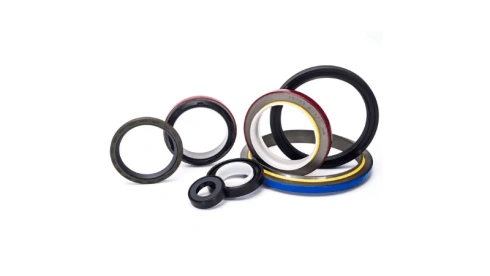 lip seal