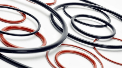 Encapsulated O-rings