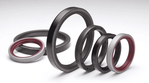 PTFE O-rings