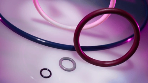 O-ring